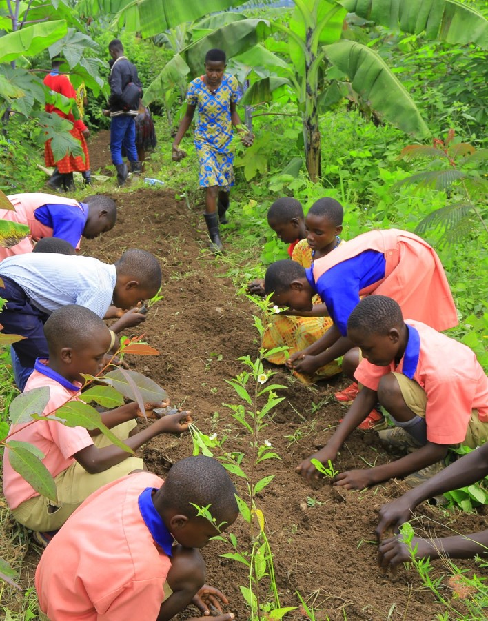 A group of young people planting.